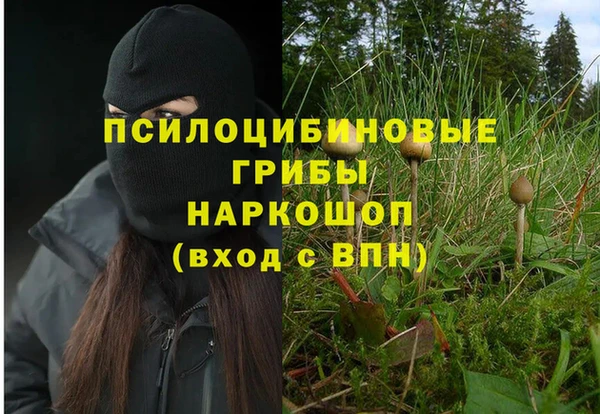 ALPHA PVP Белокуриха
